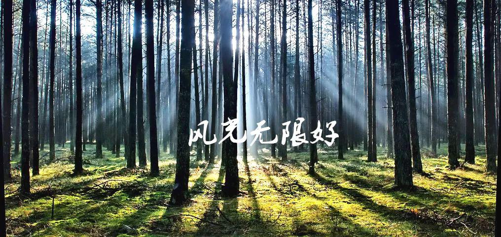 2018漢源惠州之旅